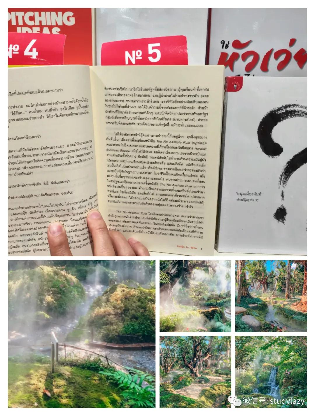 新马泰清迈,新马泰旅行圆满结束