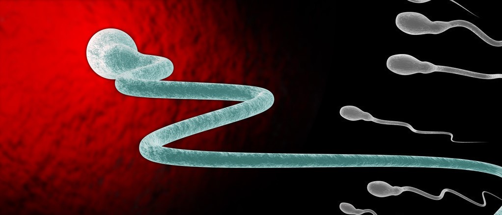 受孕了吃什么可以阻止着床,受孕补救措施