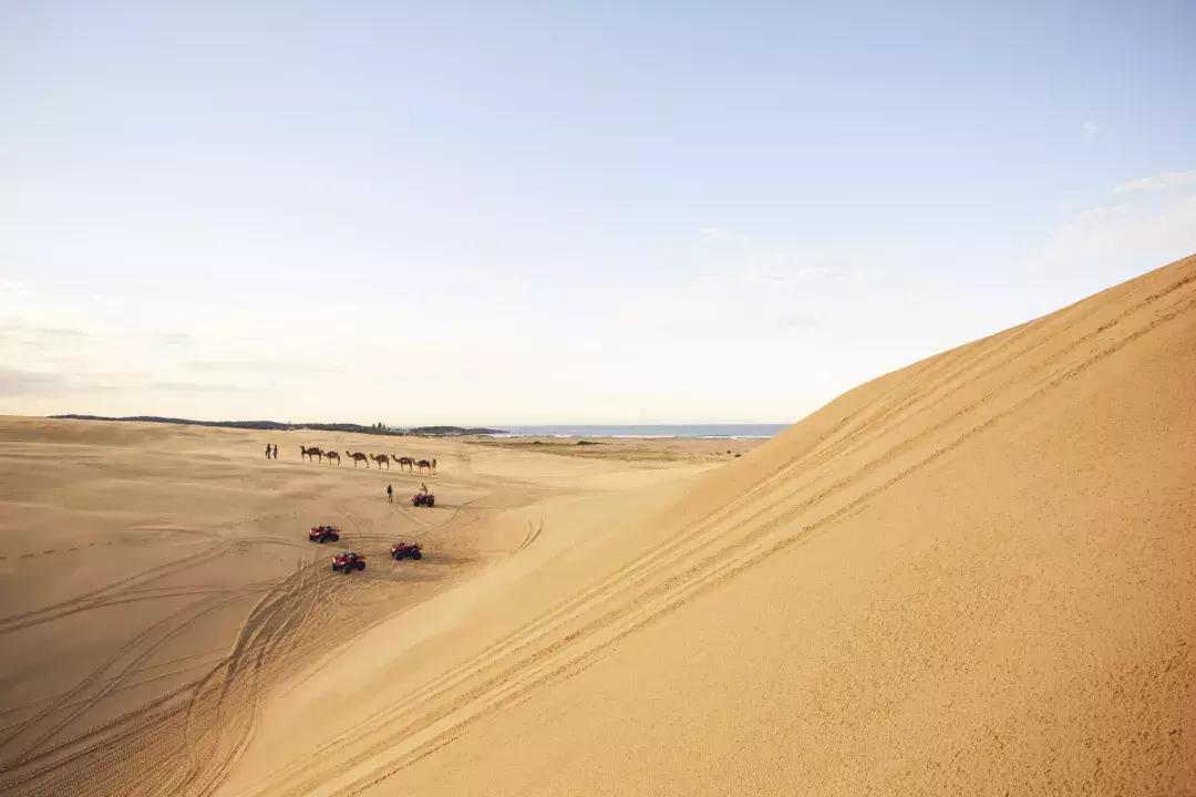 来回1000公里就为了跑个马拉松,来回往返跑活动目标