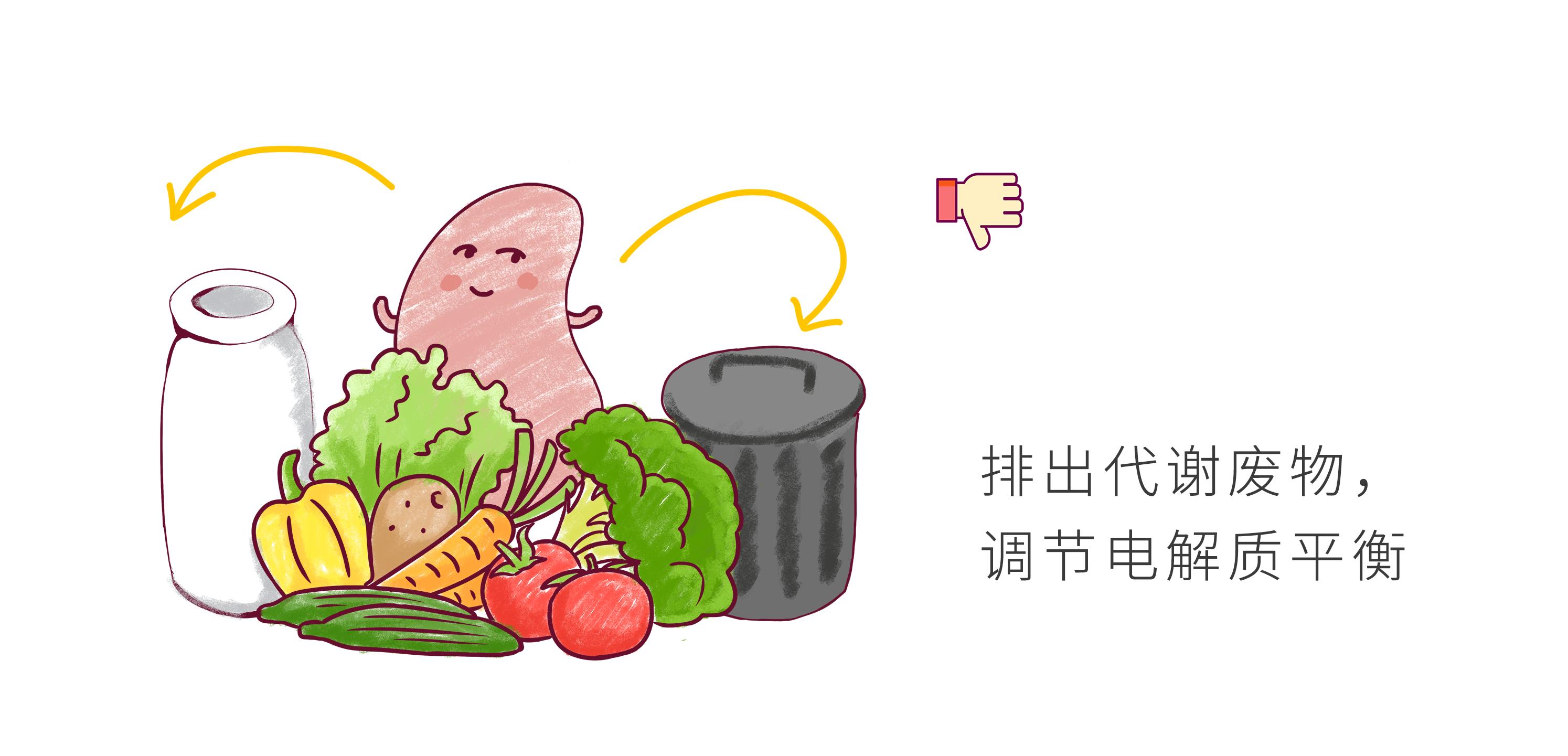 儿童怎么保护肾脏功能,儿童肾病怎么保护肾