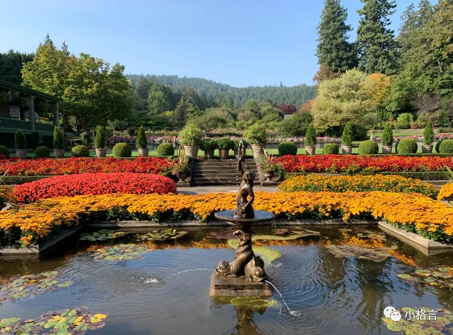 维多利亚著名的花园,维多利亚旅行攻略