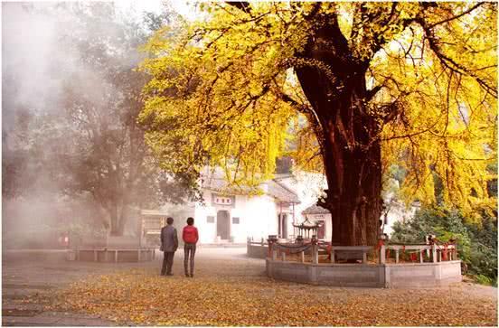 璧ゅ鍢夌闆嗗洟瑙勫垝,璧ゅ鍢夌闆嗗洟鐜扮姸