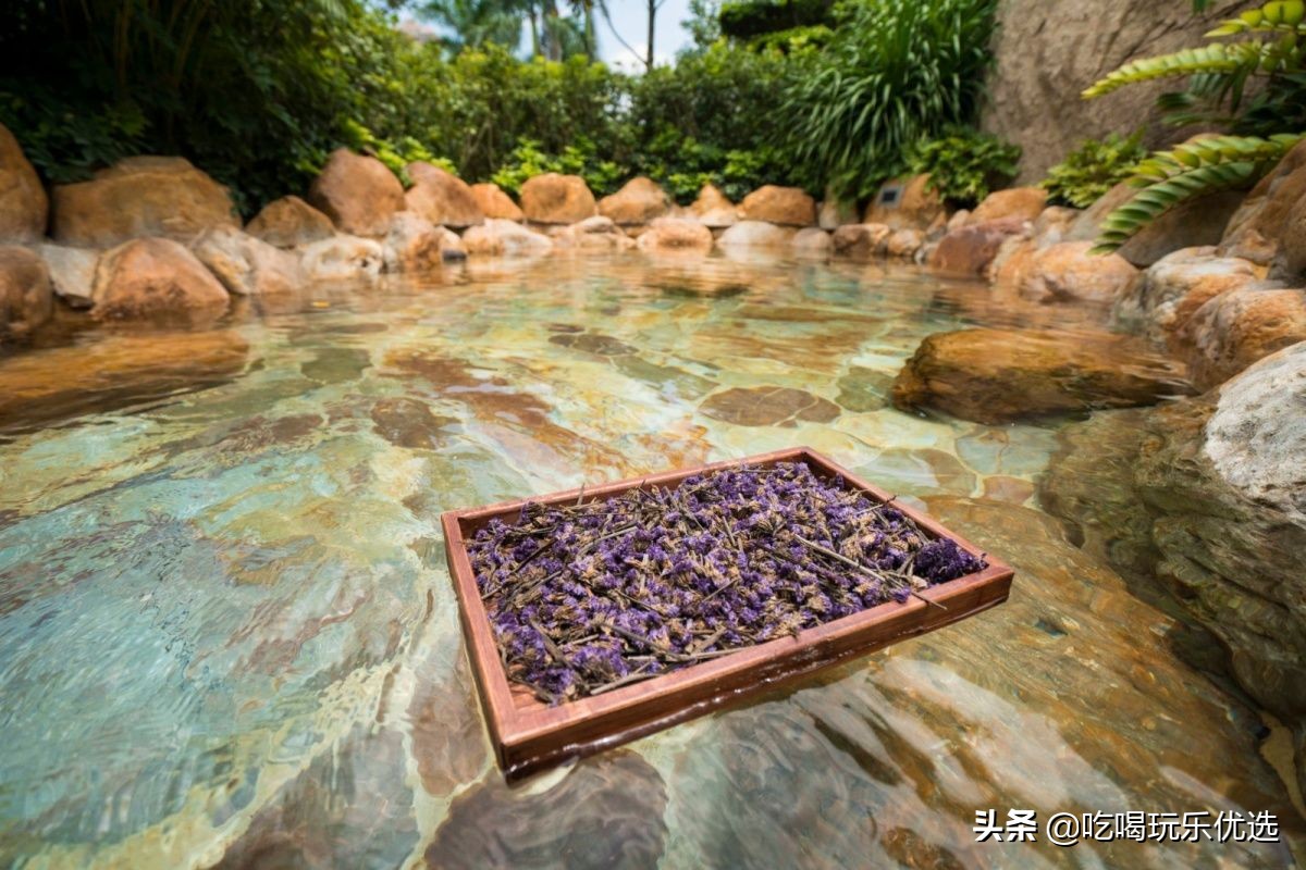 泉州聚龙温泉度假村,泉州聚龙温泉