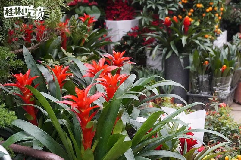 桂林市春节年货一条街,桂林有哪些年货市场