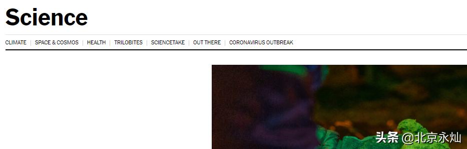 值得推荐的网站设计案例,最灵感的网站设计