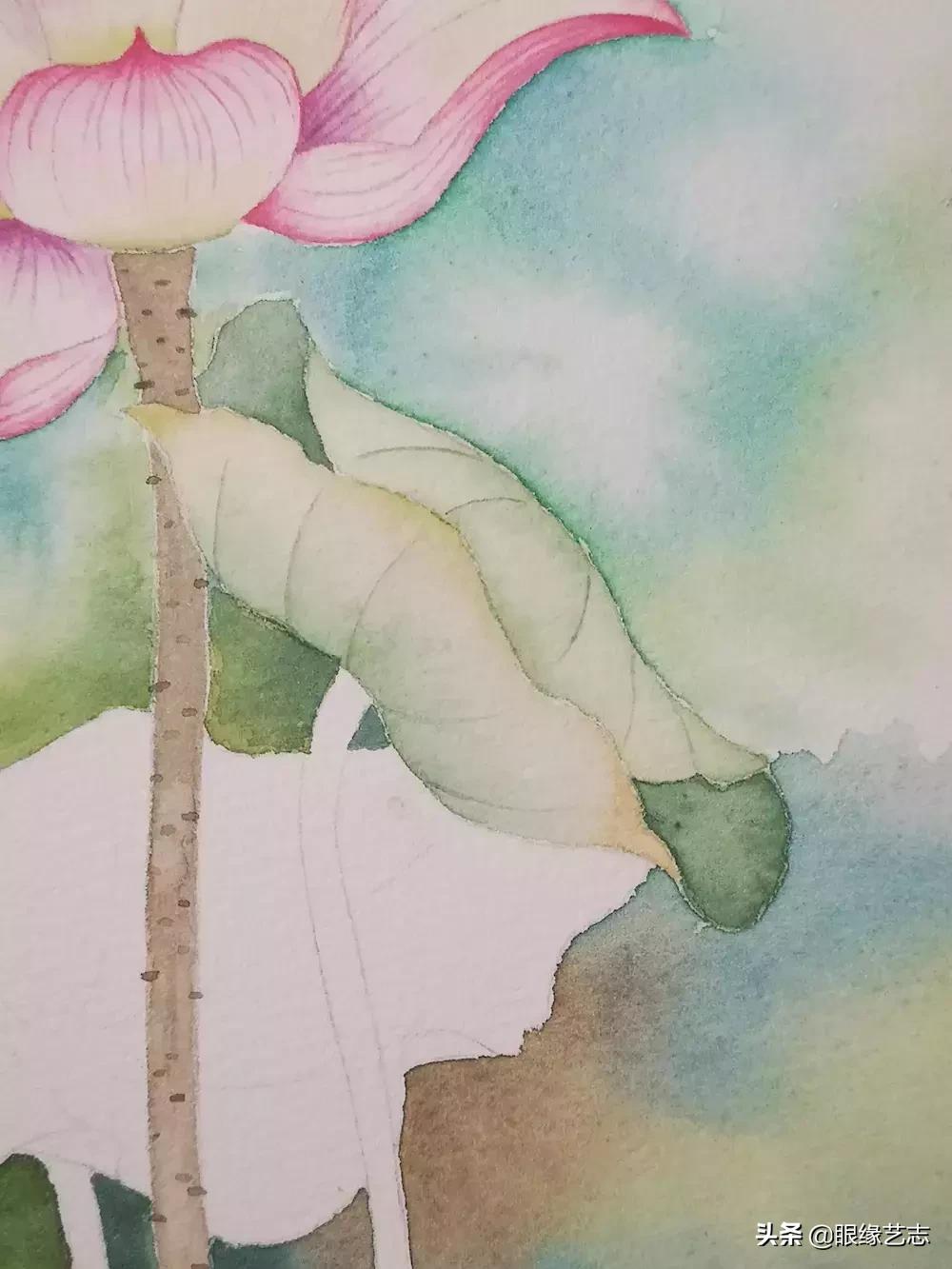 水彩莲花画法教程,白色荷花水彩画法教程