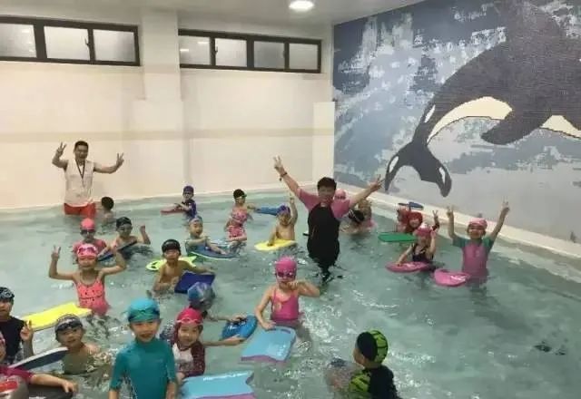 上海虹口青少儿游泳体育培训报名,上海虹口游泳学校招生