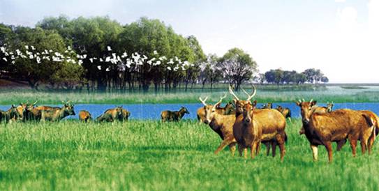 五一武汉市周边游,五一武汉周边短途旅游推荐