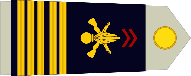 法国将军军衔等级,法国上校是什么军衔