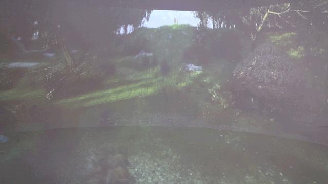 热门景点年卡,旅游年卡又一打卡景点