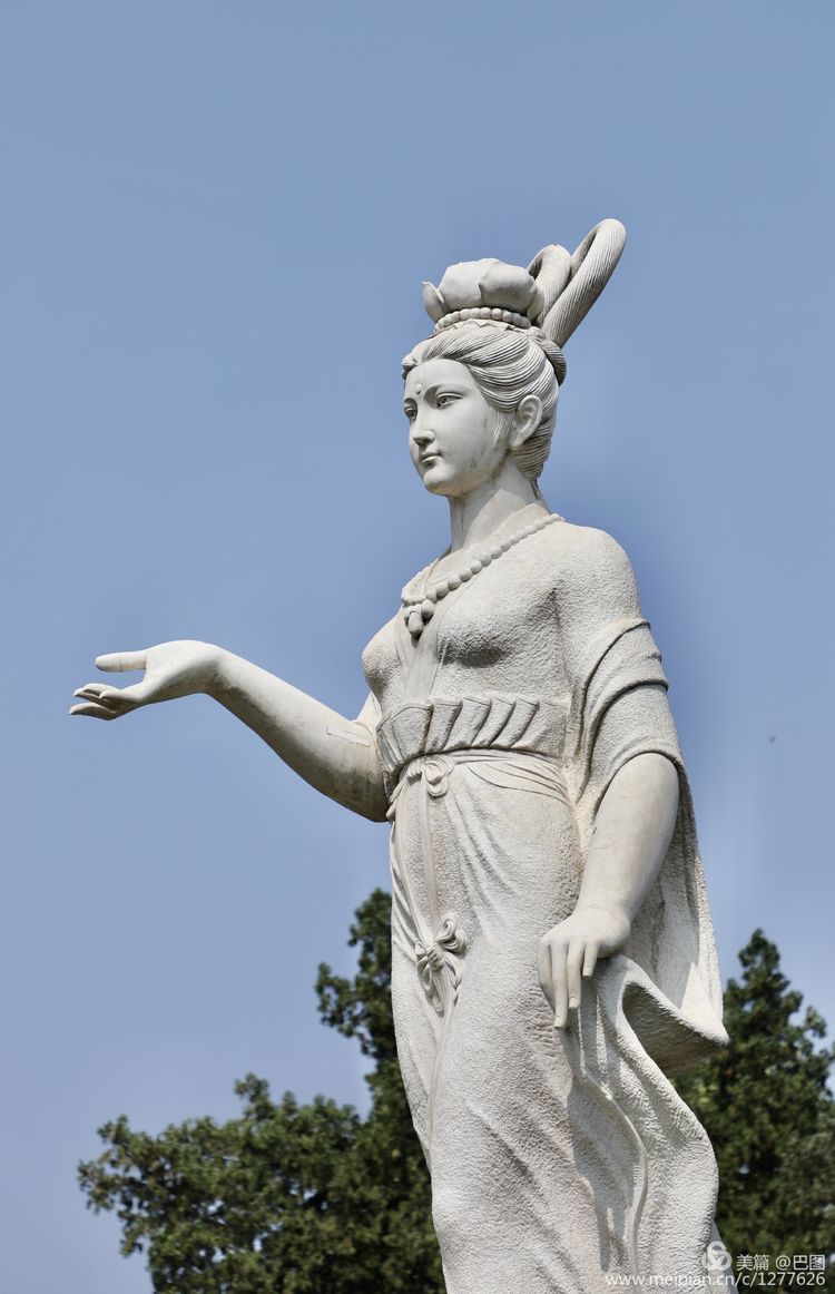 看洛阳牡丹花卉节,洛阳古都牡丹花展