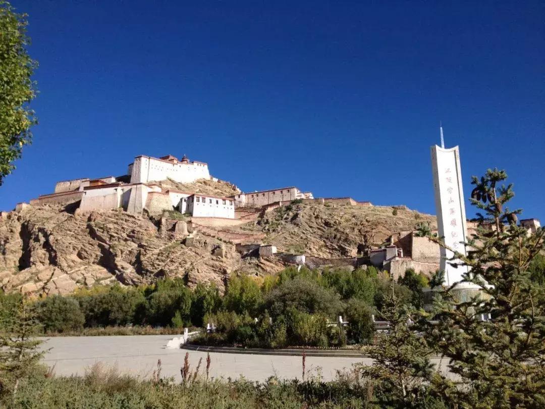 冷知识鲜为人知,冷知识大全恐怖未解之谜