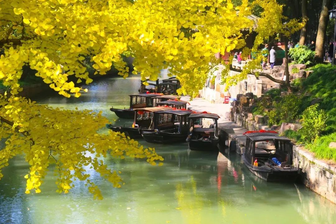 苏州真正的烟雨江南在哪里,江南烟雨苏州古城