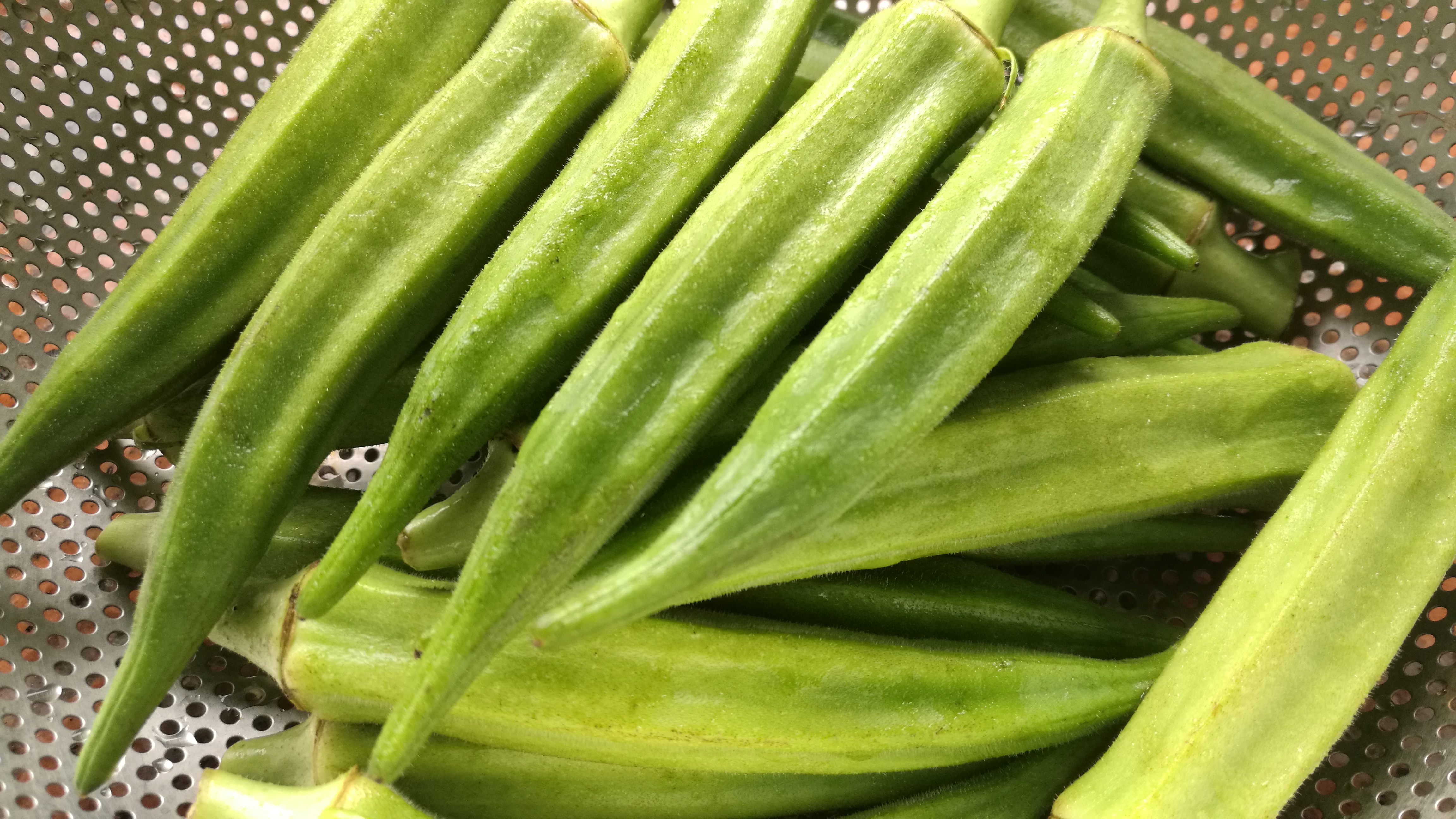 黄秋葵植物中的伟哥,秋葵是植物伟哥是谣言么