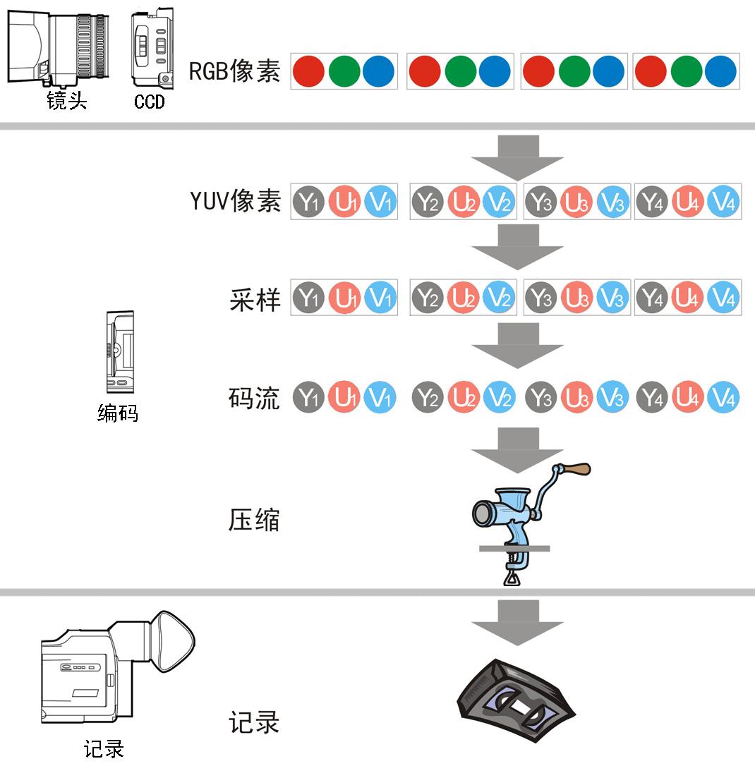 视频格式——编码和压缩