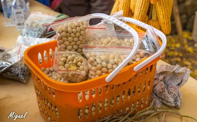 腾冲旅游攻略气温,腾冲深度旅游