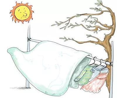 螨虫致痘？！螨虫究竟怎么办？今天一次告诉你