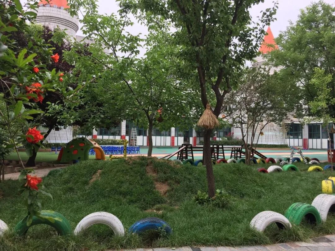 金水区公立幼儿园有哪些,郑州金水区第一幼儿园容易进吗