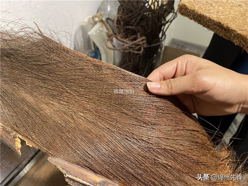 棕床垫甲醛超标白血病,网上说的棕垫导致白血病真的吗