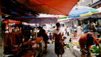 沈阳蔬菜今日行情,今日沈阳市最新菜价