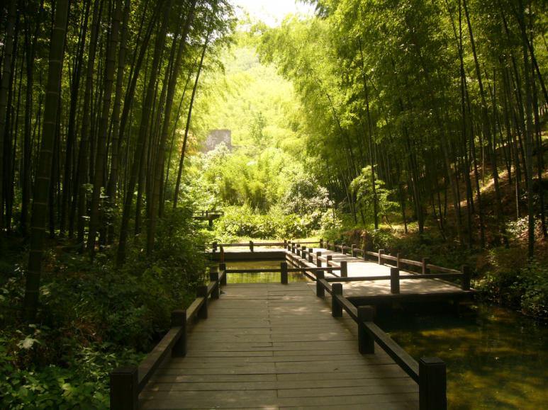 南山竹海都有什么特色,南山竹海风景简介