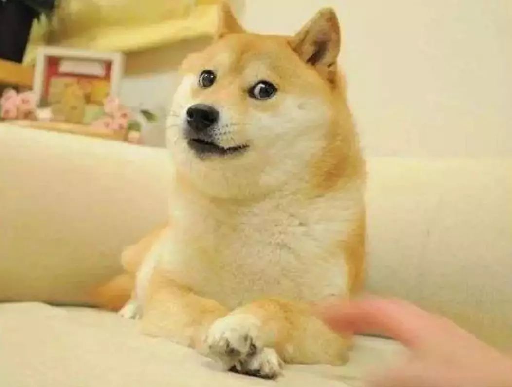 it男生的真实生活,it男现在怎么样了