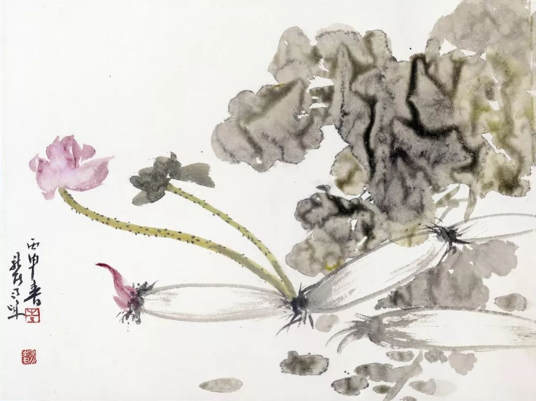 花卉好看的中国画,白描花卉临摹图片简单中国画