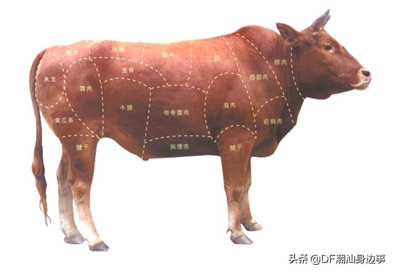 告诉大家一个吃牛肉的窍门,牛年吃牛肉的正确打开方式