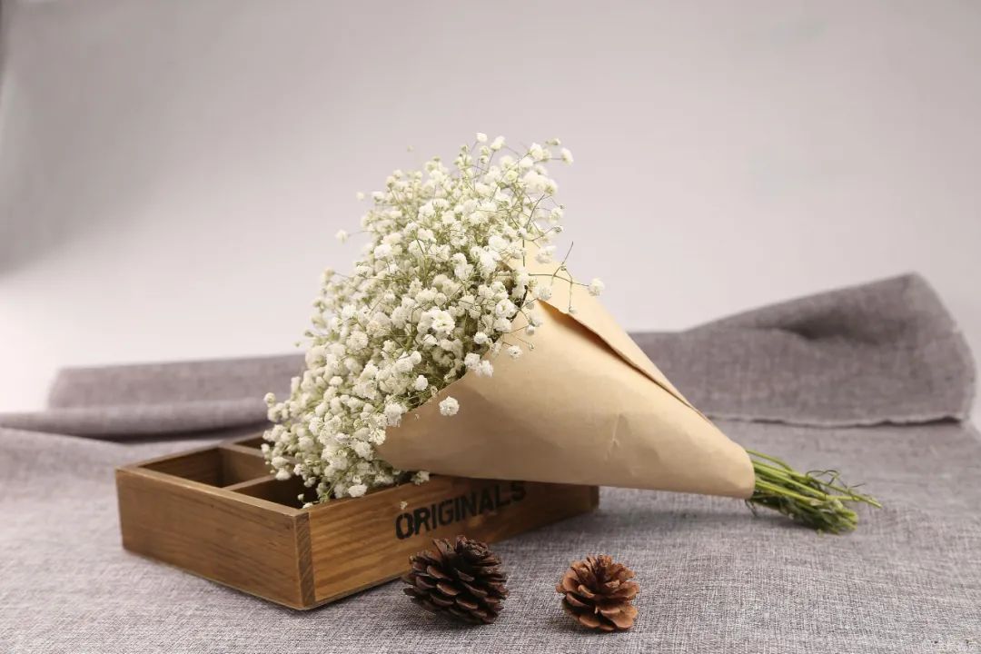 祝贺老师教师节快乐的图片,教师节给老师的玫瑰花语