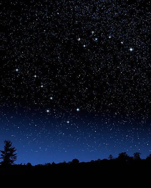 儿童成语学习0-3岁挂图,小学1-6年级成语大全专项训练