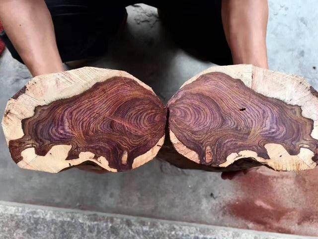 韧性强又轻便的木头做拐杖用,富豪花重金买回来了一根木拐杖