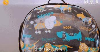 8.1国产良心,分分钟救你「狗命」