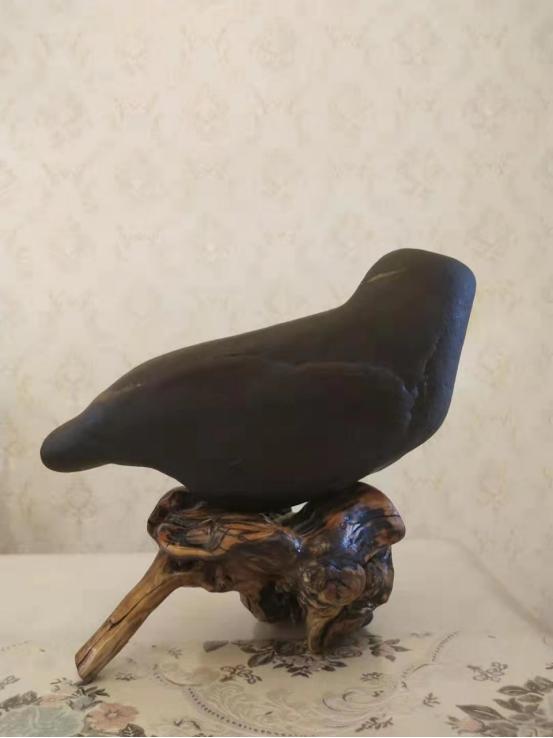 都是些什么“鸟石”？保证有你好看