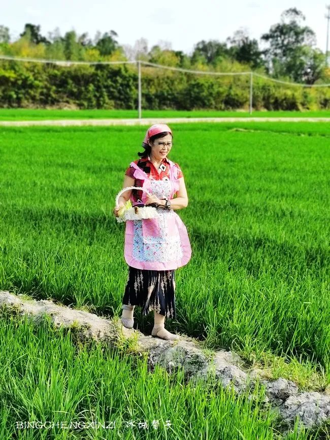 做把“村姑”,走进海南灯火灿烂的火龙果园