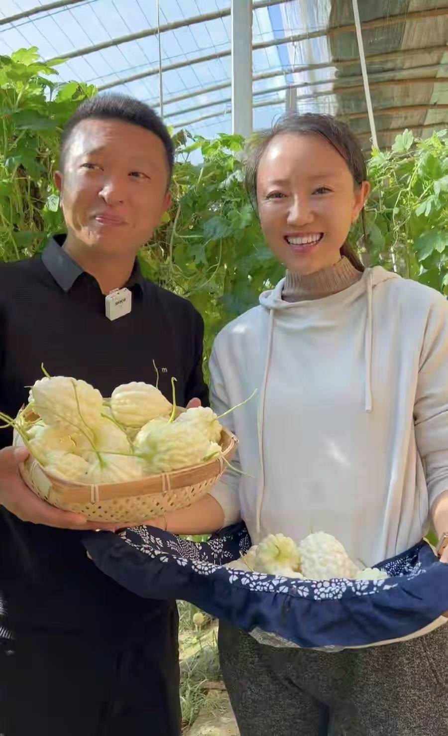 大学生回村种菜一年几百万,厌倦了打工的生活回村种菜养牛