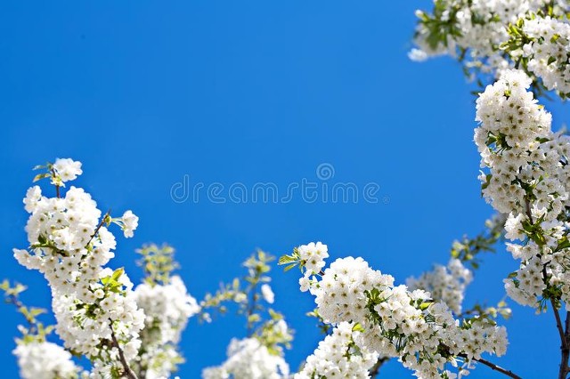 她做保姆的这些年豪门生活之八,她做保姆的这些年豪门生活之十四