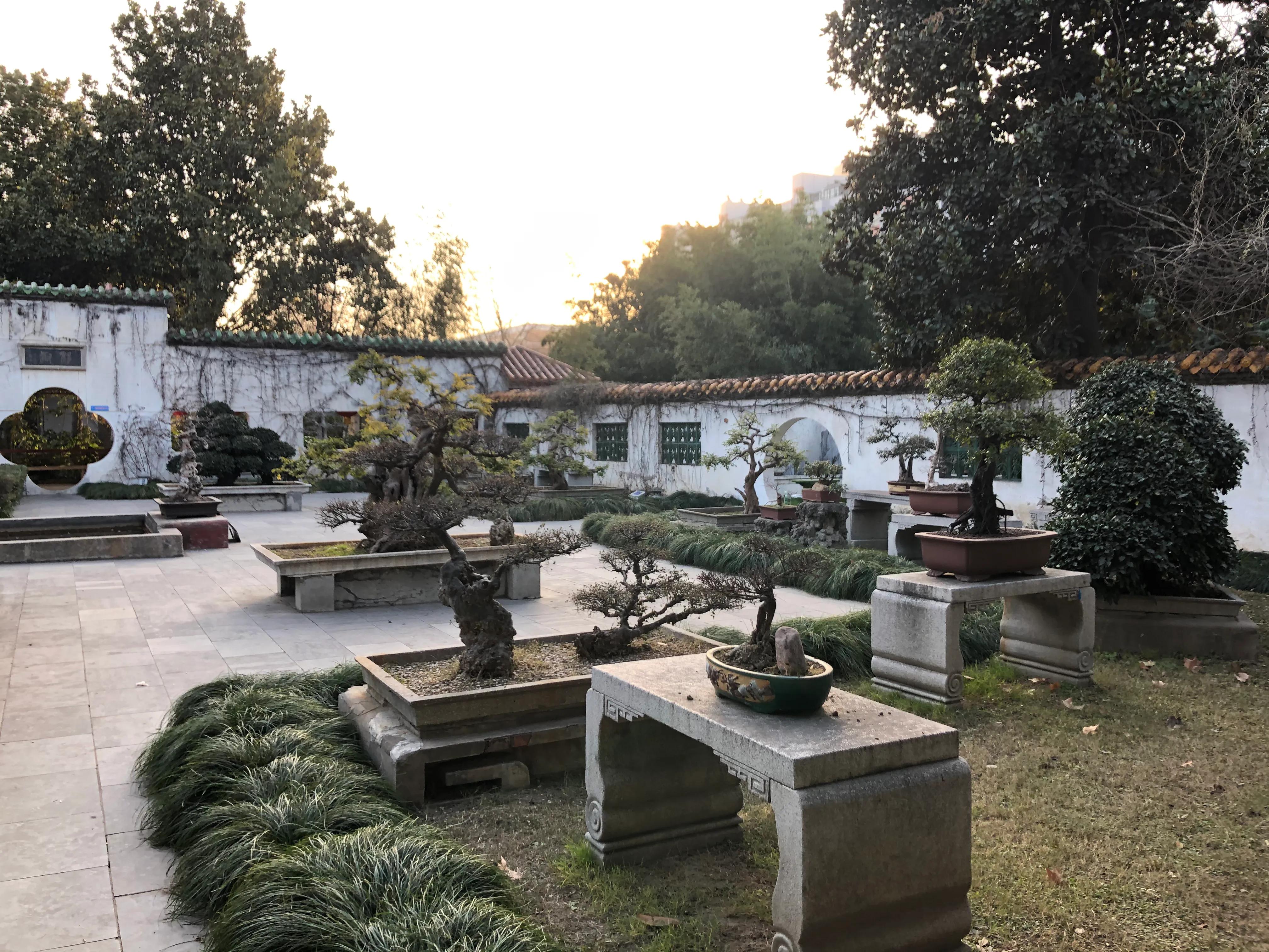 平顶山河滨公园旅游攻略,平顶山森林公园游记