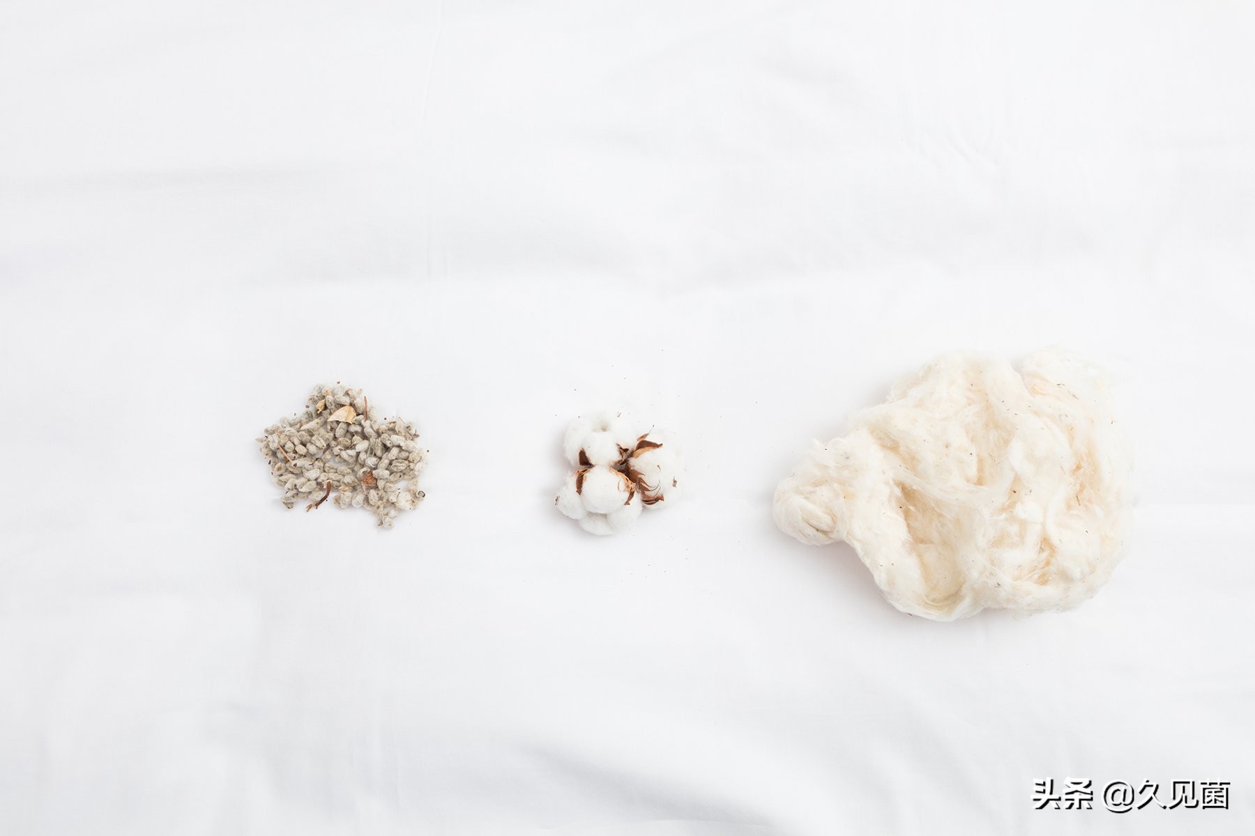 新疆新棉种植受灾情况,关于新疆棉花的发展形势及对策