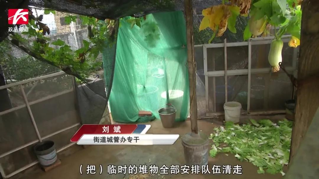 自建房楼顶搭棚养鸡,农村自建房养老天台种菜养鸡