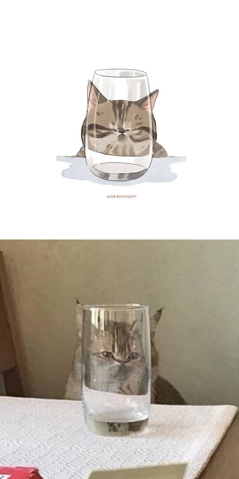 可爱小猫咪的漫画,猫呆萌漫画图