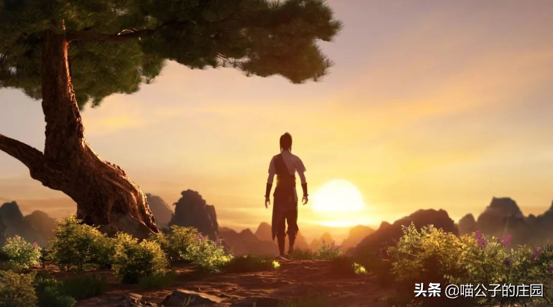 侠岚电影影评,影评一个人的武林电影