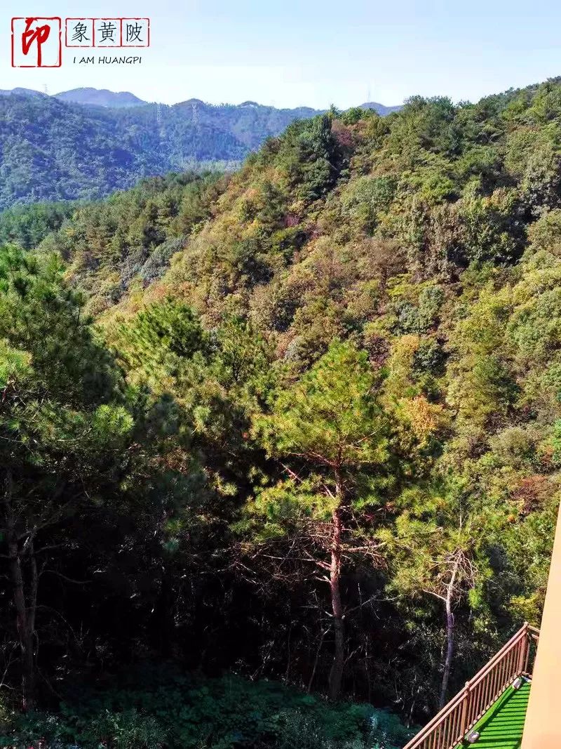 家乡依旧是最美的风景,家乡依然是最美的地方