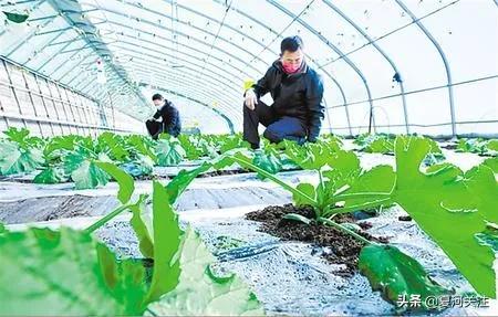 吹响决战决胜脱贫攻坚的号角,书写新时代的新答卷