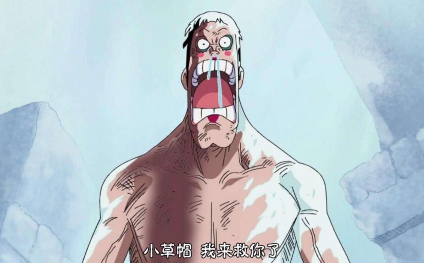 海贼王路飞的三大将,海贼王路飞的救命恩人