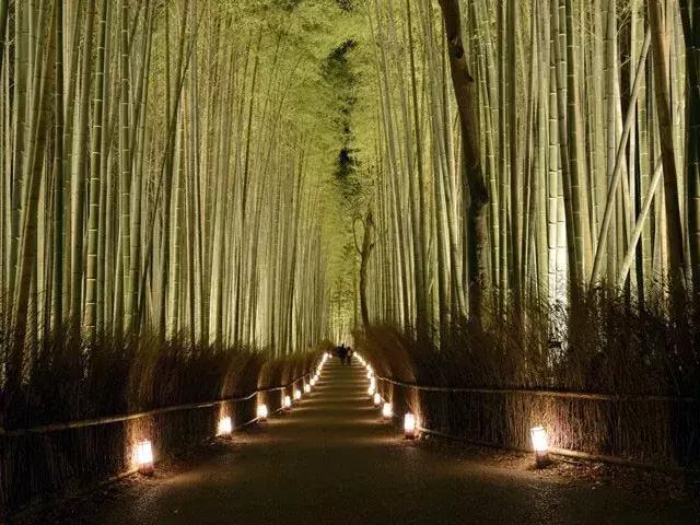 盘点那些年我看过的日本美景,日本美景8k超高清