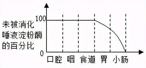 临沂罗庄七下生物期中试卷,临沂七下生物期中试卷