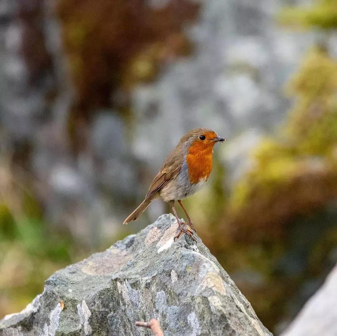 世界上哪些国家禁止离婚,世界上禁止离婚的国家高清视频