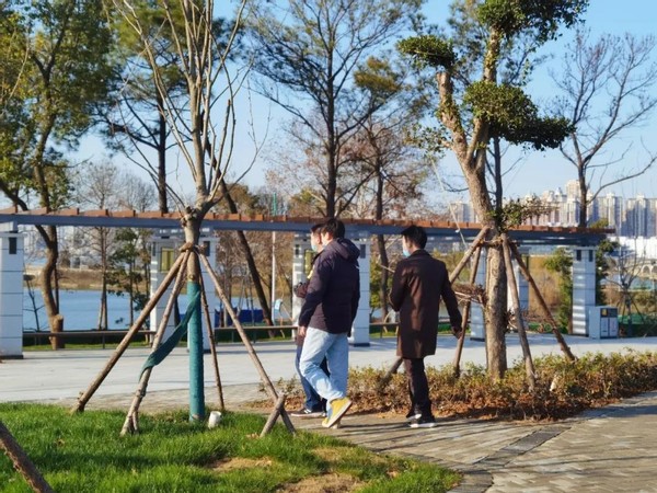 湖北高校风景,湖北风景最美的大学