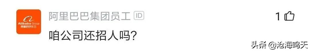 国企程序员都做什么的呀,国企程序员都做什么工作