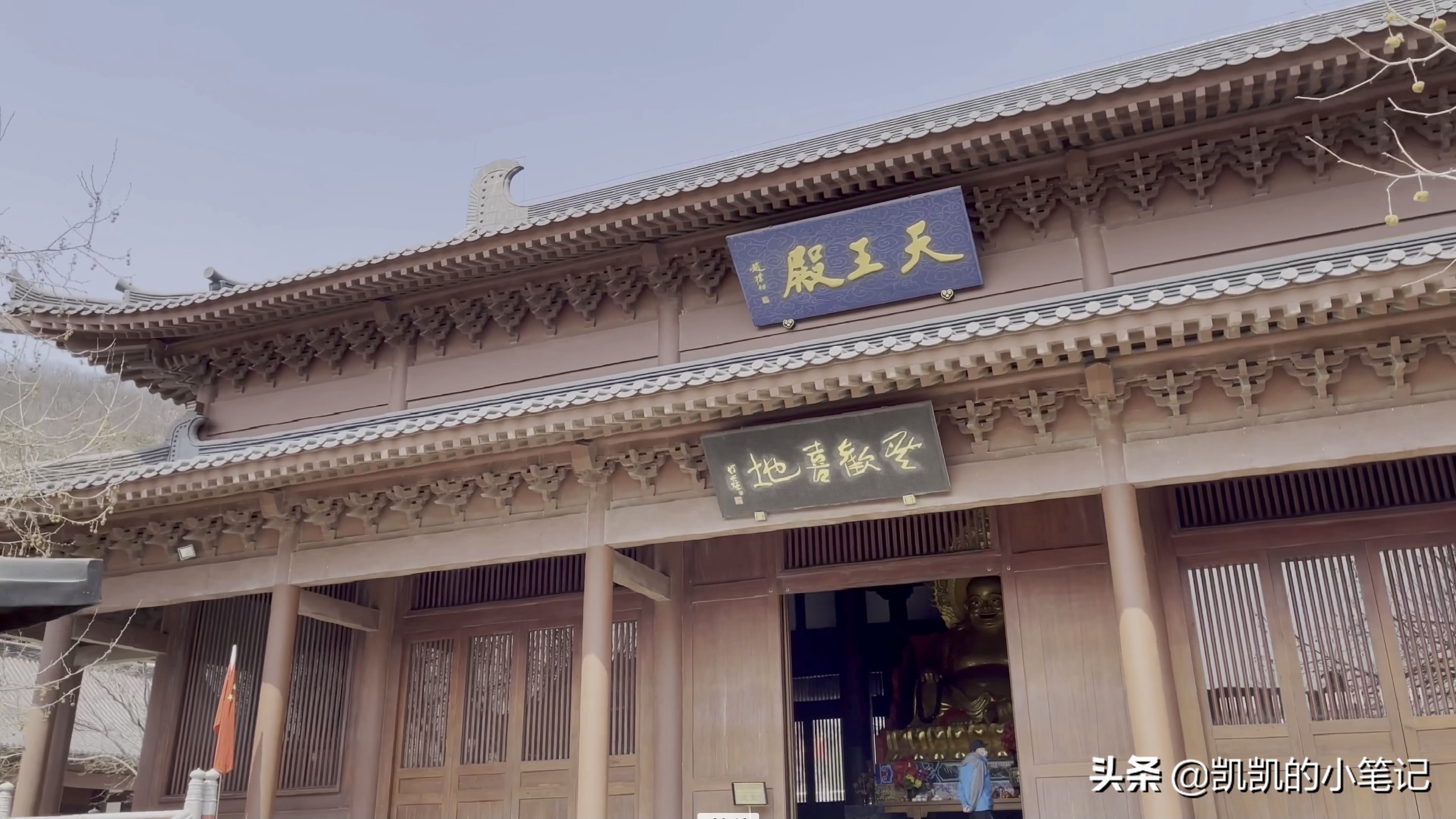 横山寺樱花园门票,横山寺和龙王塘樱花园